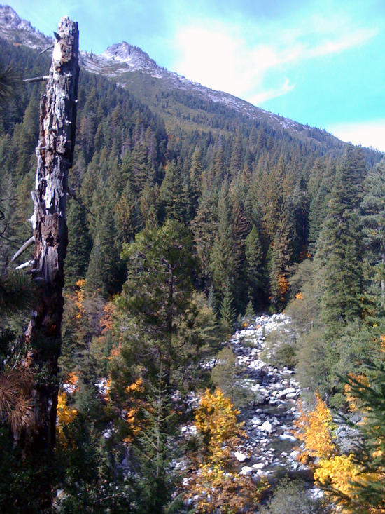 River Shot
