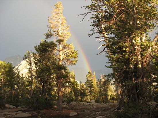 rainbow
