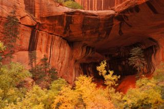 Double Arch Alcove, Middle Fork of Taylor Creek in Zion NP