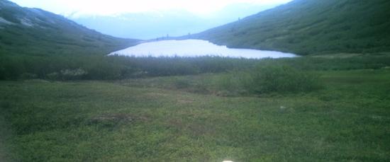 Campsite View