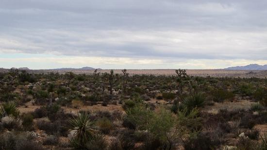 q valley