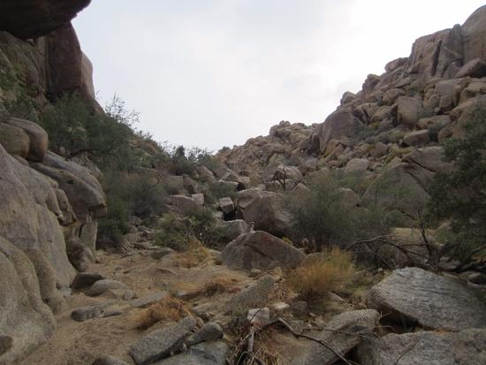 rock fall 1