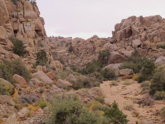 bouldering 2