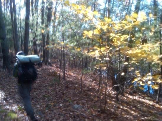 Warner Trail 3