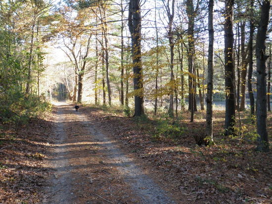 Warner Trail 7