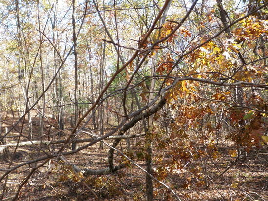 Warner Trail 15