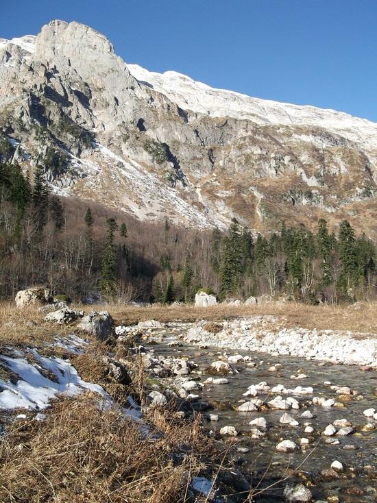 mount Fisht