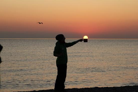 a cup of sun