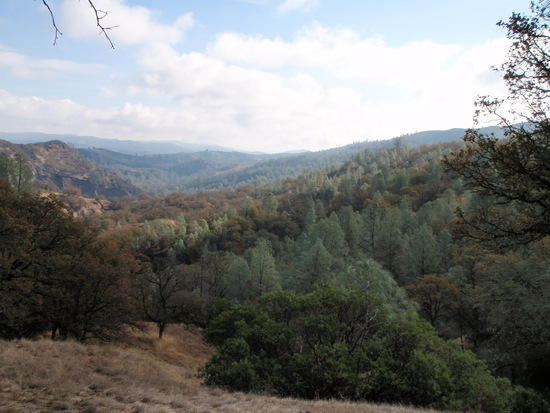 rolling hills