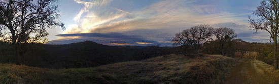 Pano