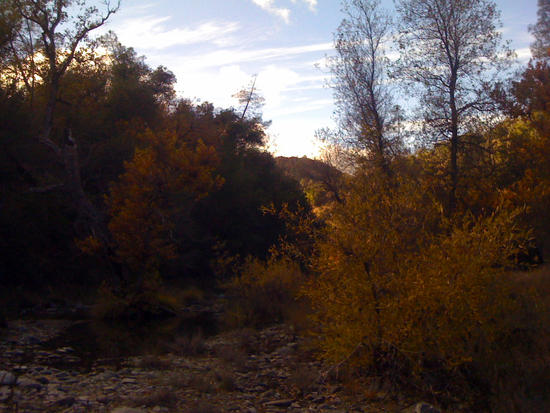 Color