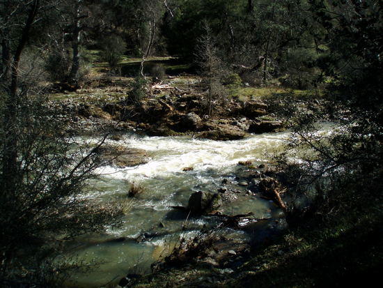 creek 1