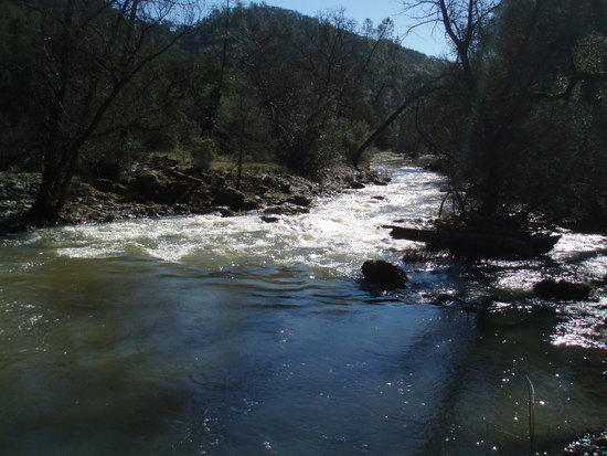 creek2