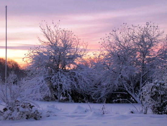 snow