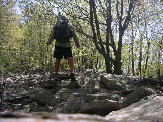 Pennsylvania's rocks