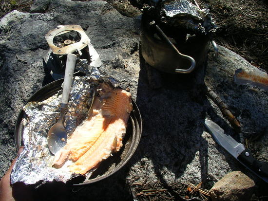 MMMM trout