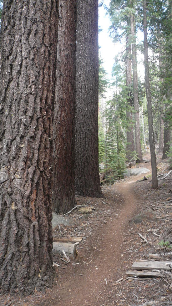 Little Yosemite Valley
