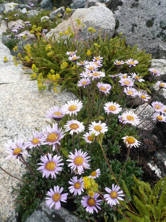 Glen Pass