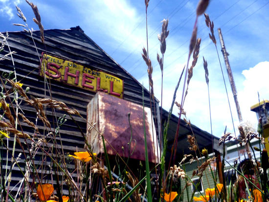 Shell we