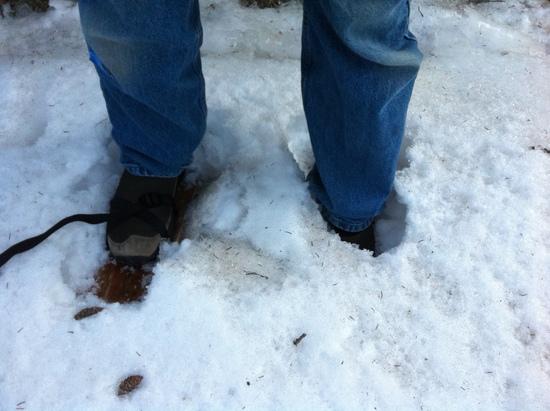 Floatation versus postholing