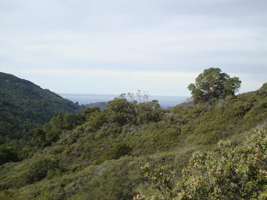 Ventana1