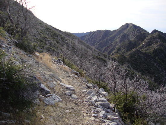 Trail