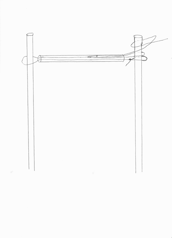 pole