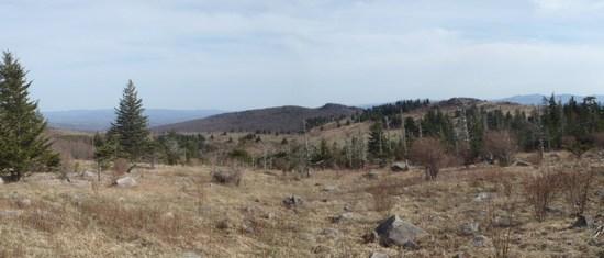 View2