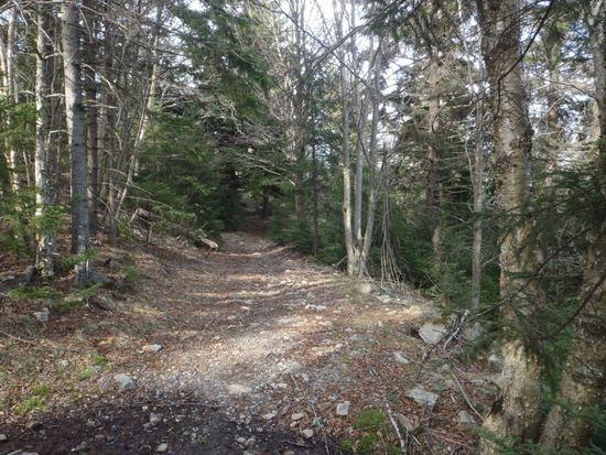 Horse Trail