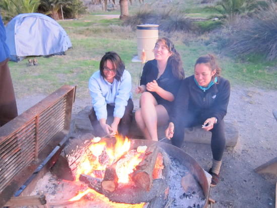 Cooking over a fire