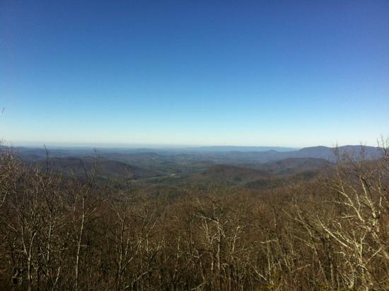 Springer Mtn
