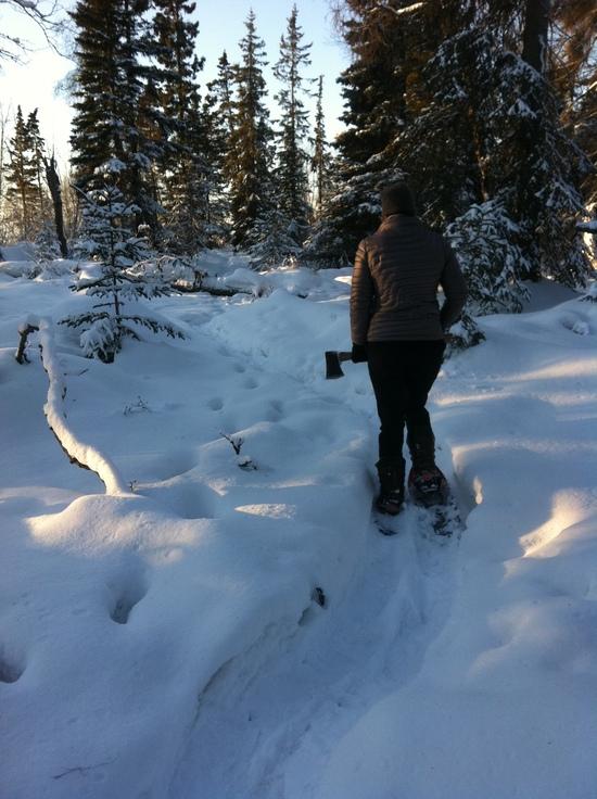 Gardening in Alaska