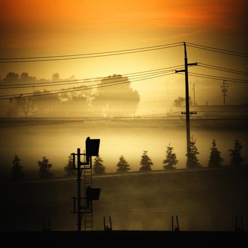 Fog - Central Valley