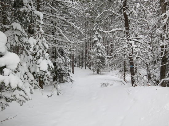 snow