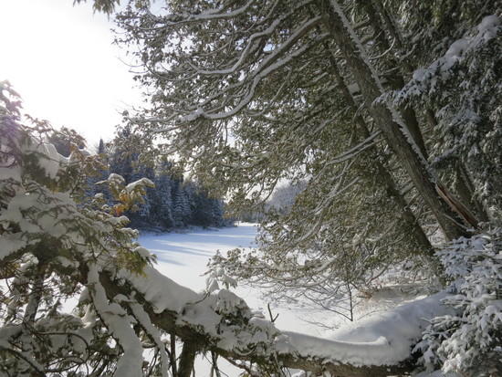 iced over