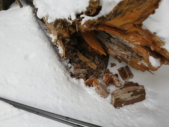 wood