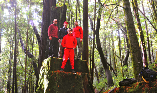 Hundred Year Old Stump