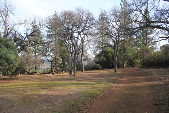 9a