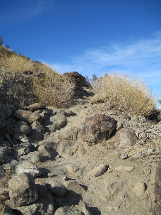 Desert Skyline 8