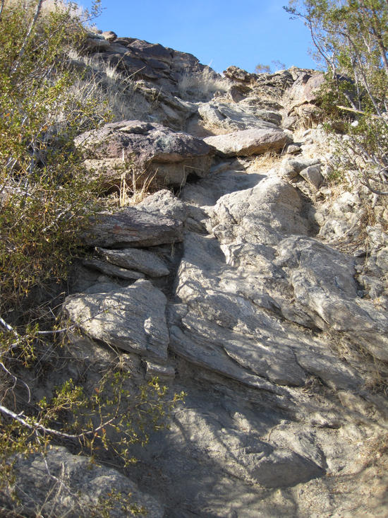 Desert Skyline 12