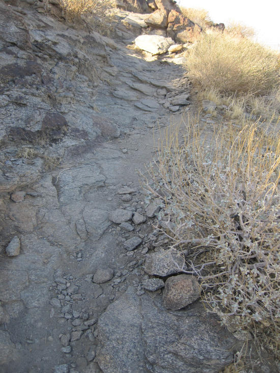 Desert Skyline 14