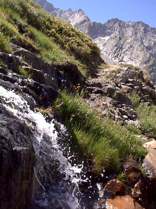 above hamilton lake
