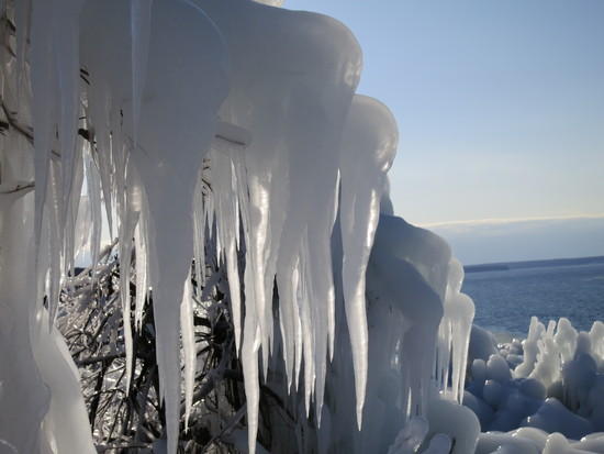 iced trees 5
