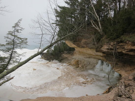 cove2