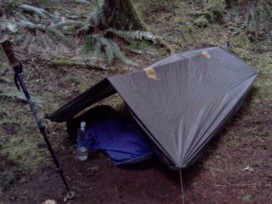 tarped up last spring.
