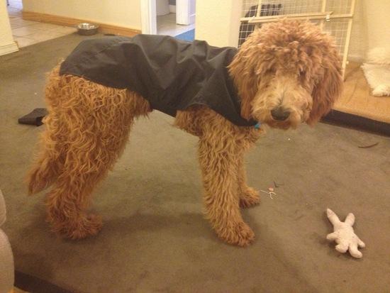 Arrow's jacket