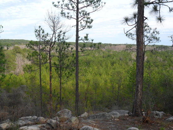 View from the campsite