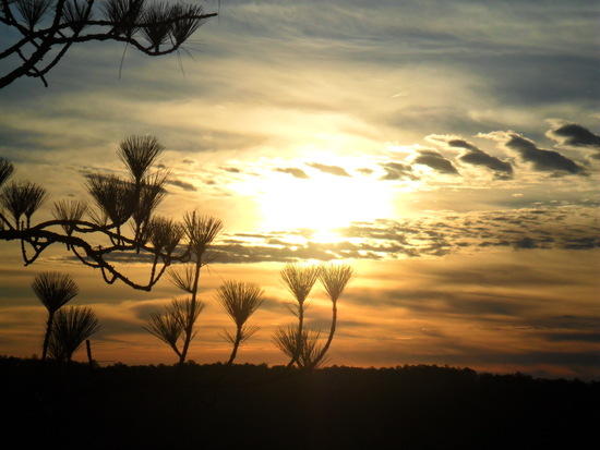 Saturday Morning's Sunrise