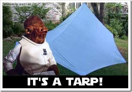 Trap