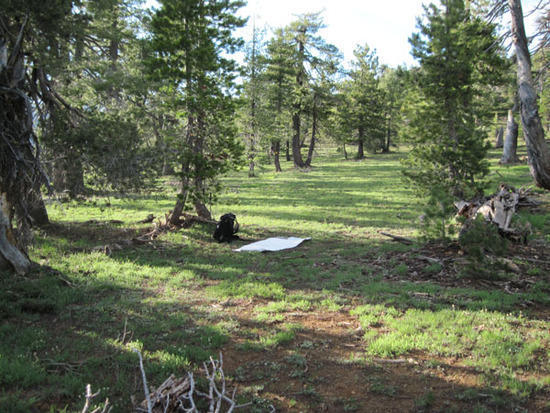 grassy cowboy camp